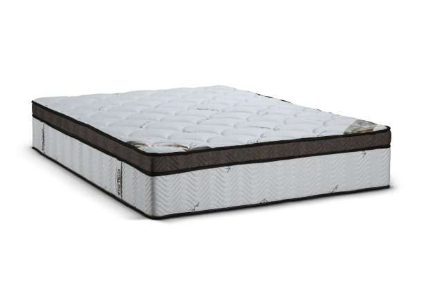 Orto Medical -3